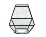 Geometric Glass Terrarium