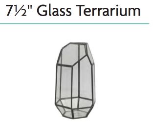 Geometric Glass Terrarium