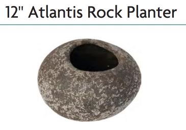 Atlantis Rock Pot