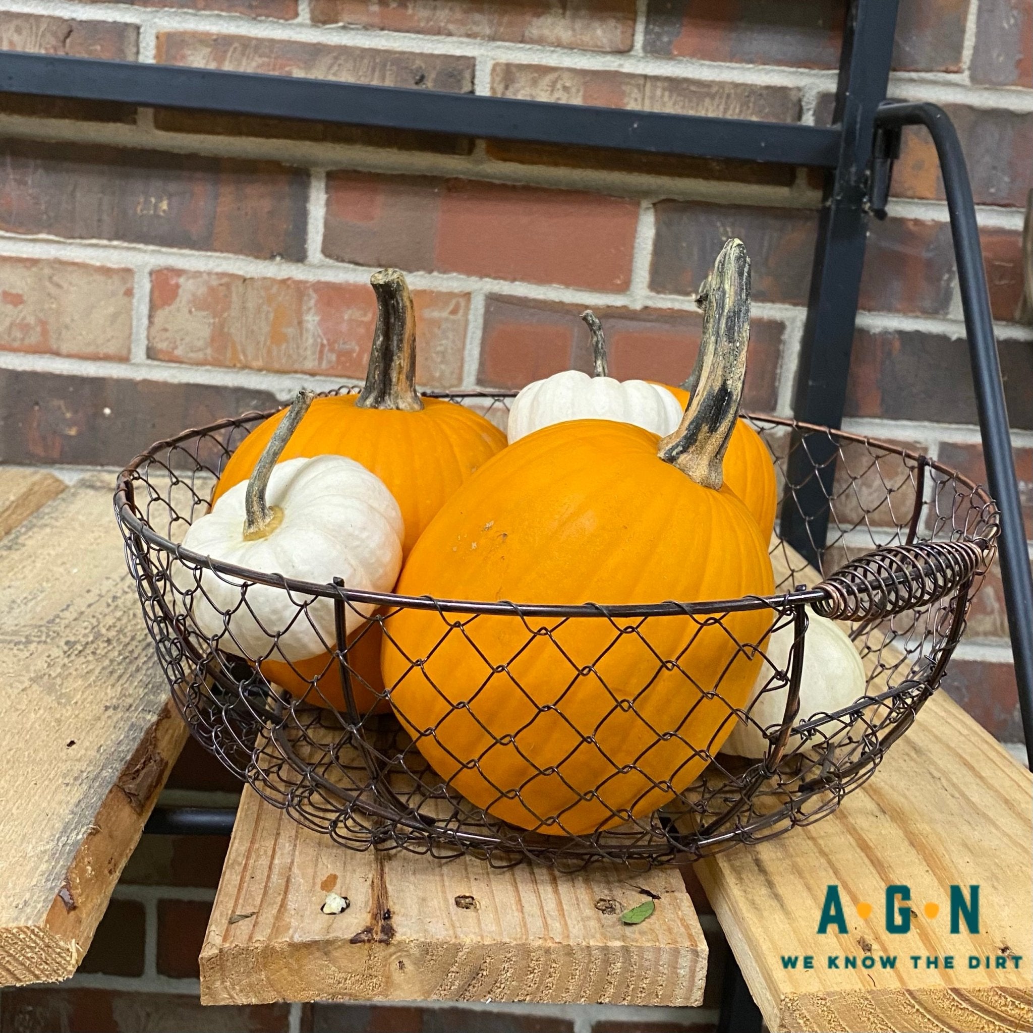 Mesh Basket - America's Gardens Nursery