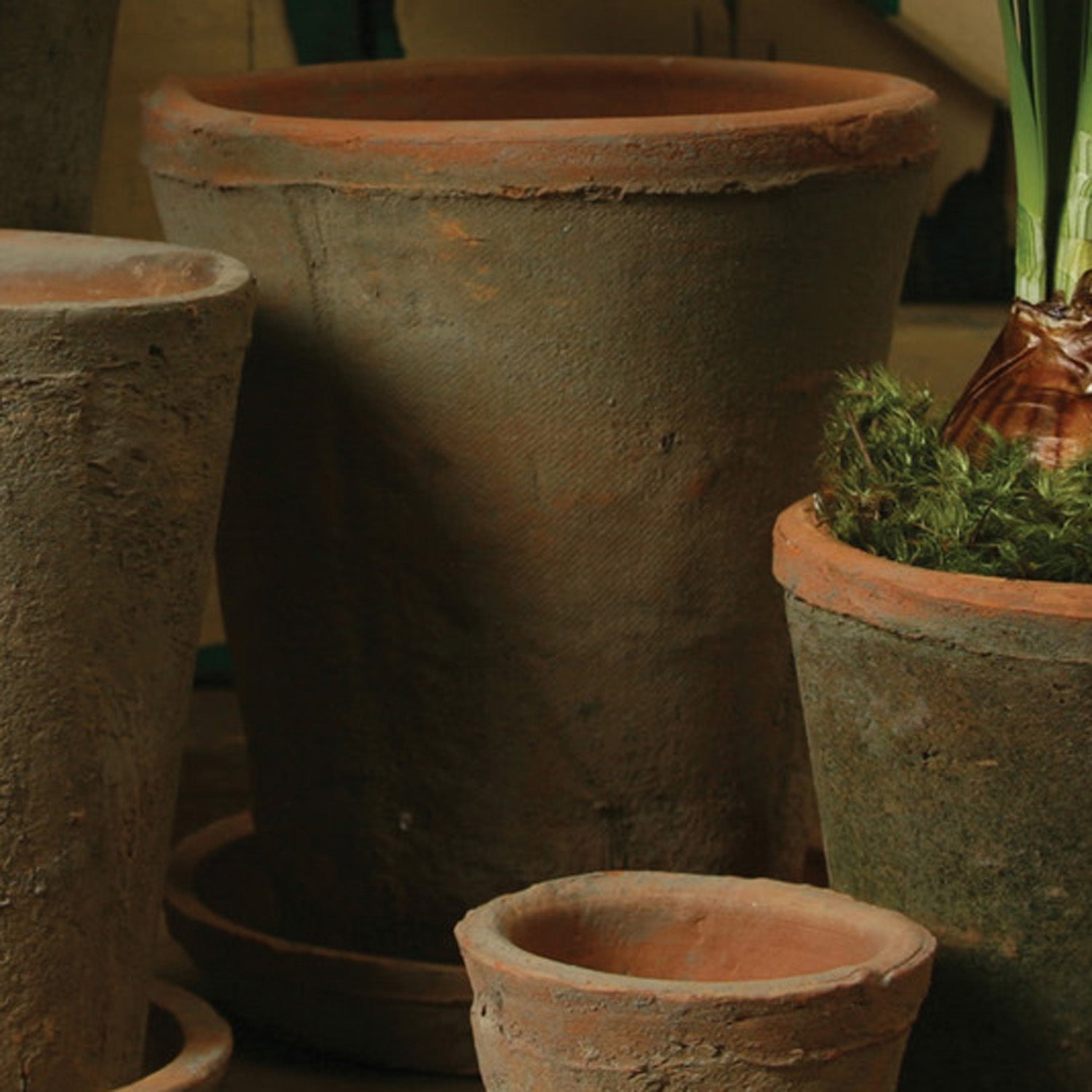 Rustic Antique Terra Cotta Rose Pot - America's Gardens Nursery