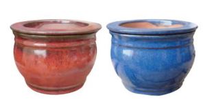 Self Watering Pot Fishbowl - America's Gardens Nursery