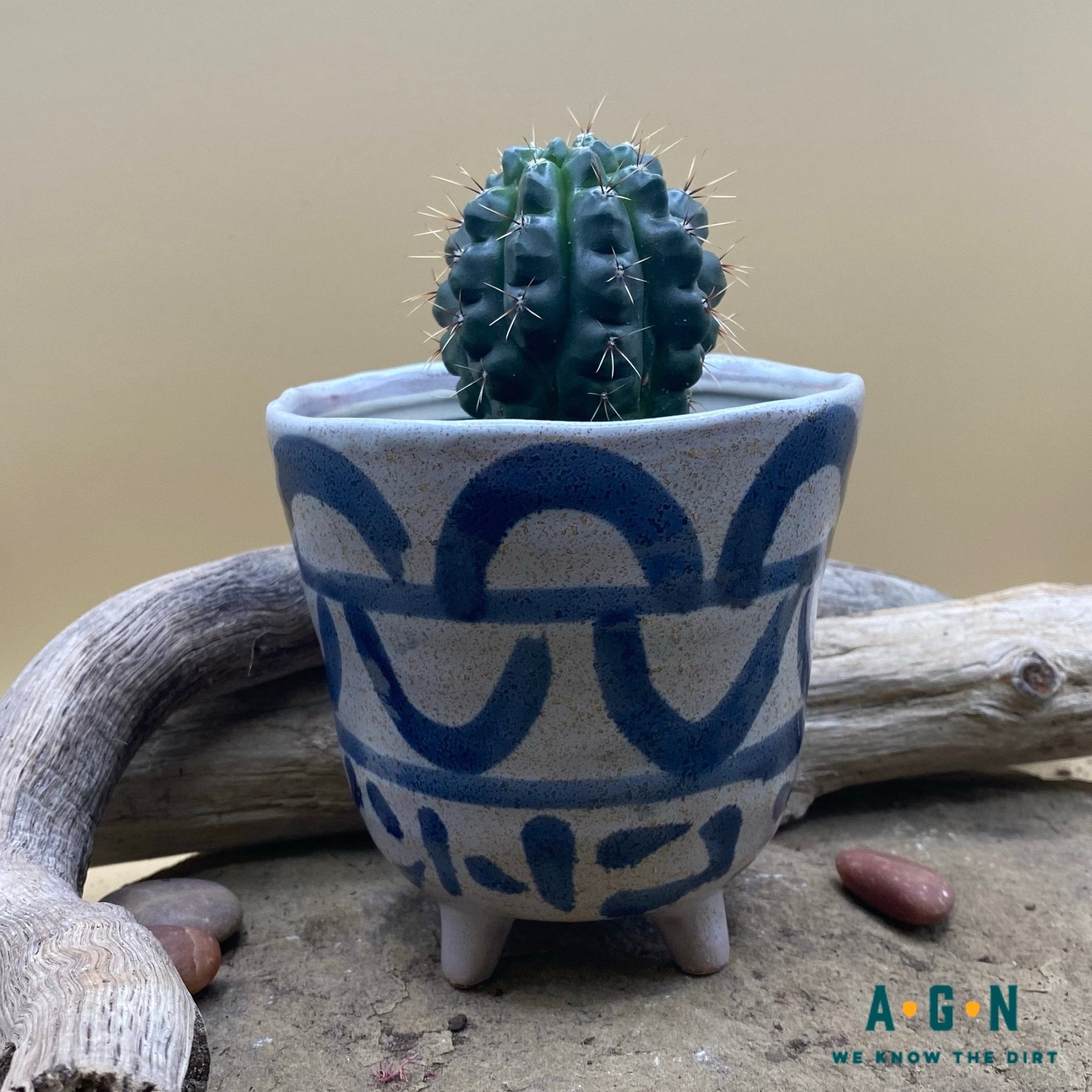 Small Granada Painted Bowl Ceramic - America's Gardens Nursery