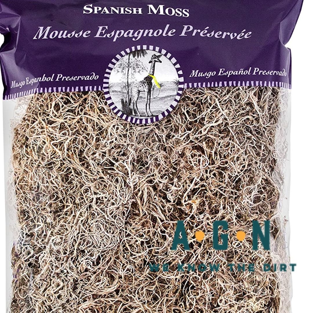 Spanish Moss - America's Gardens Nursery