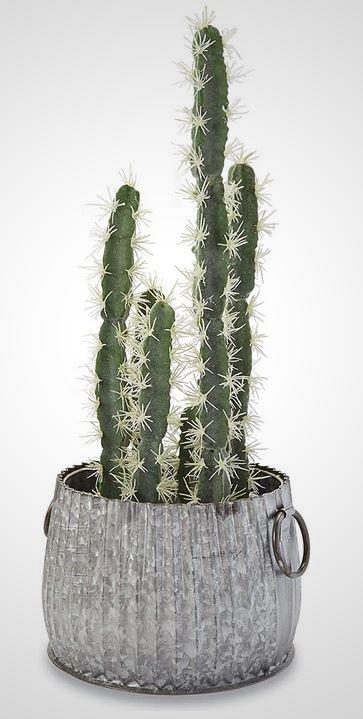 Tin Scallop Pot - America's Gardens Nursery