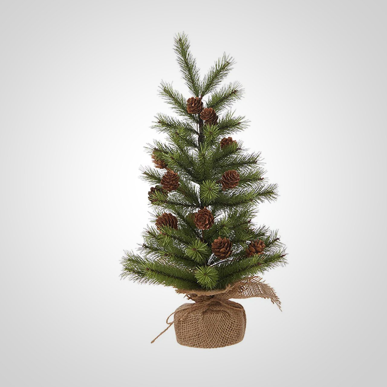 Tree, Pinecones 24" - America's Gardens Nursery