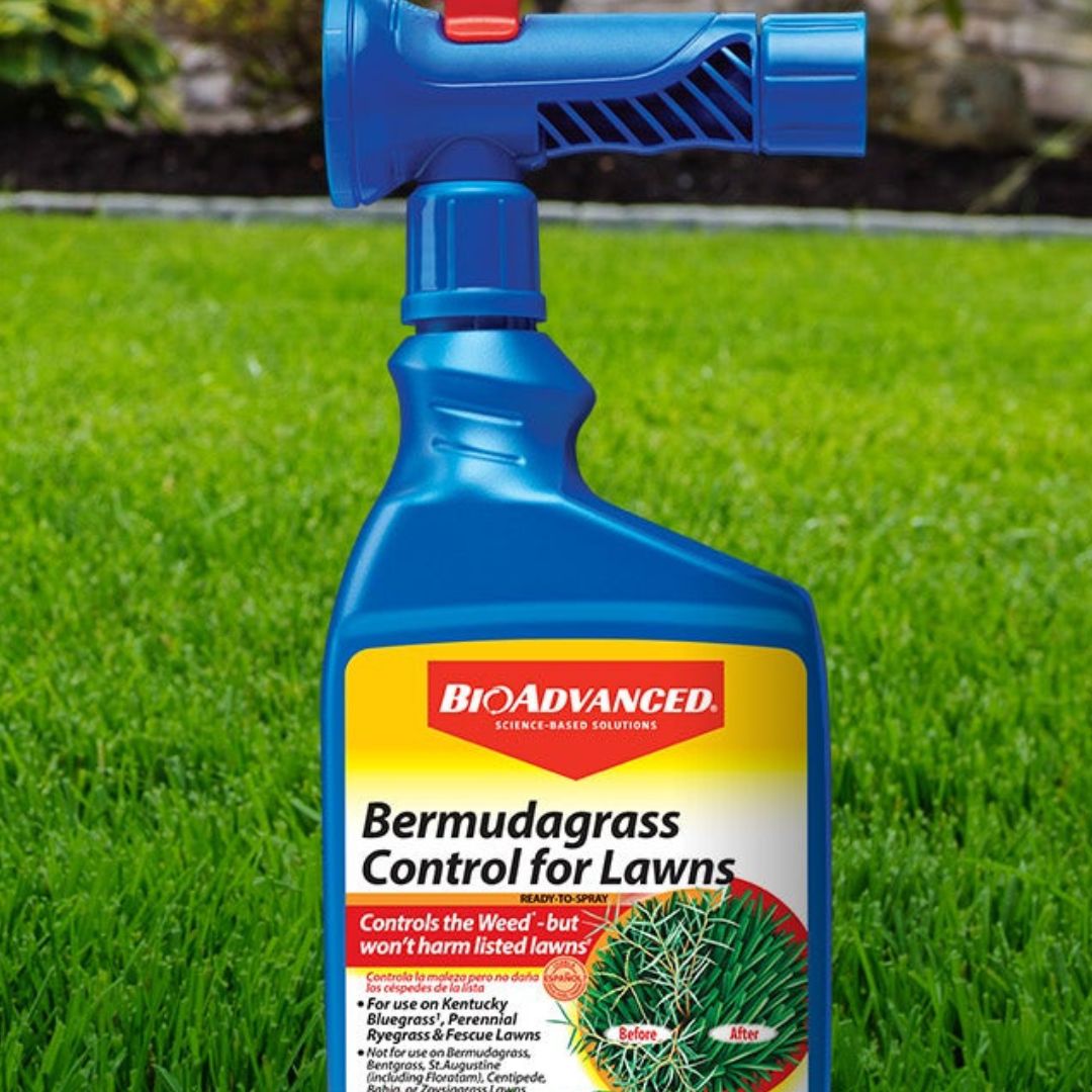 Bermudagrass Control For Lawns