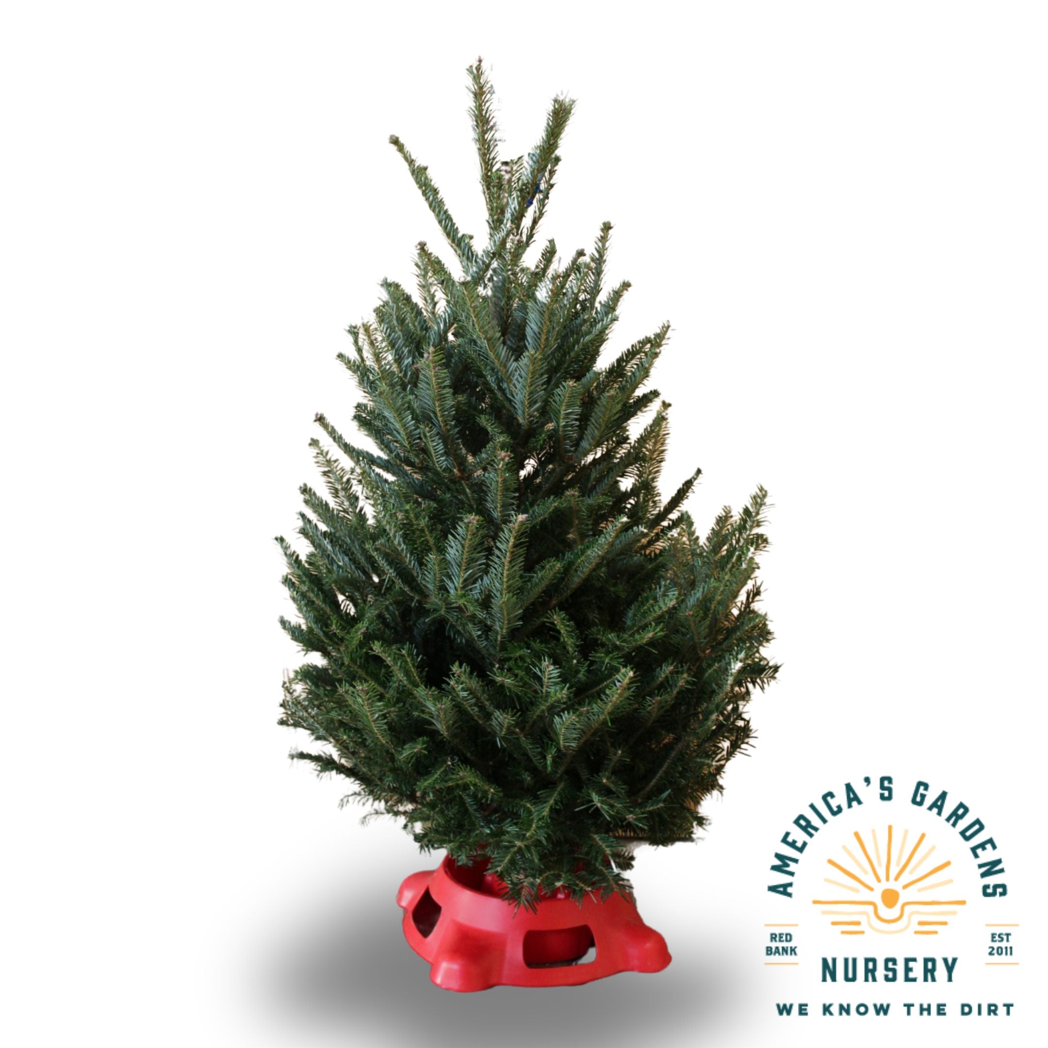 Christmas Trees