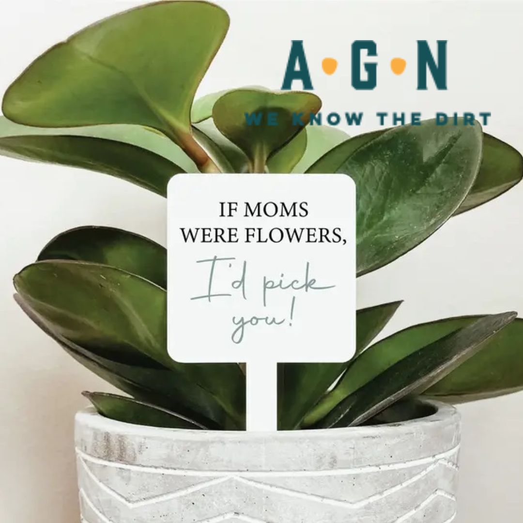 If Mom's Were Flowers I'd Pick You Plant Marker