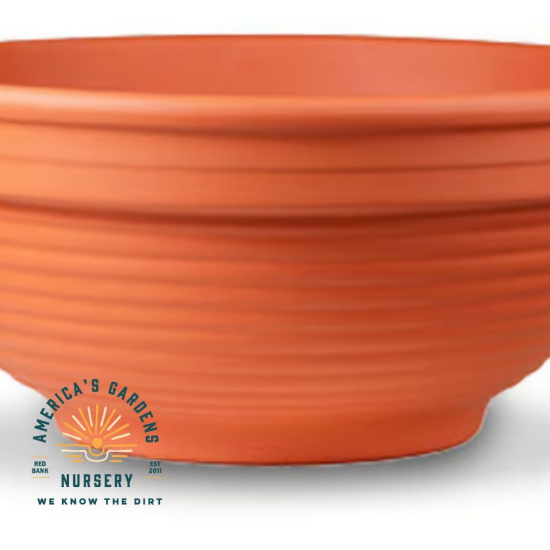 Red Clay Terra Cotta Standard Planter Bowl