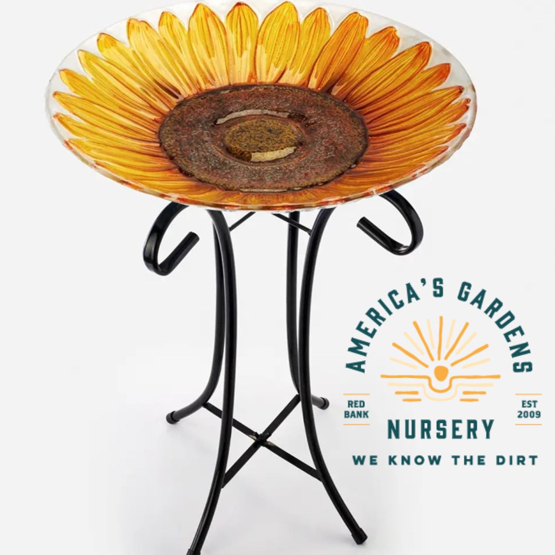 Glass Birdbath W/Stand