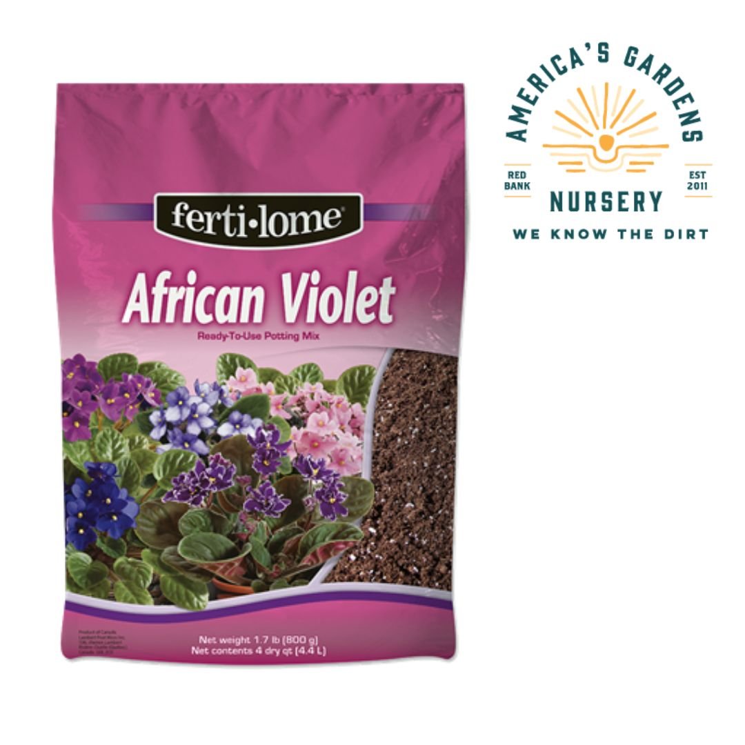 African Violet Mix - America's Gardens Nursery