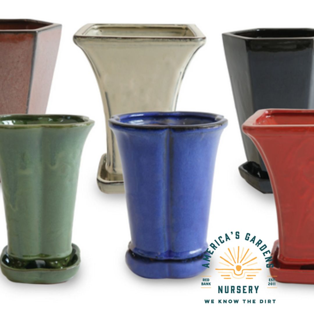 Assorted Tall Bonsai Pots - America's Gardens Nursery