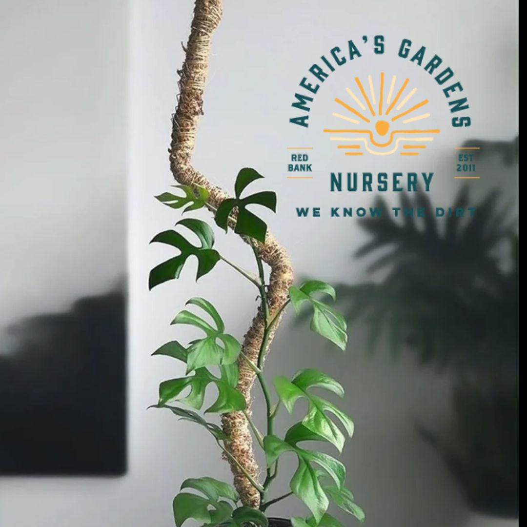 Bendable Coir Poles - America's Gardens Nursery