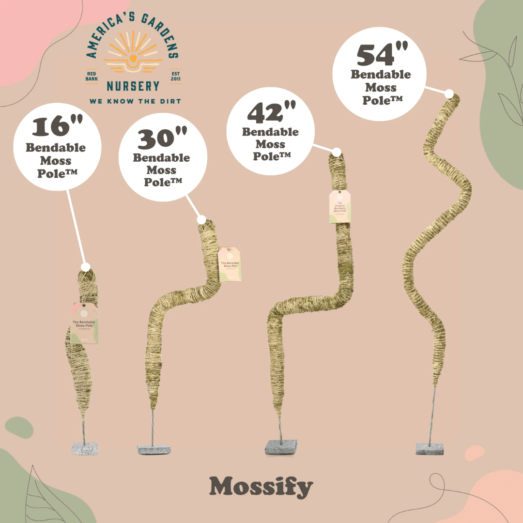 Bendable Coir Poles - America's Gardens Nursery