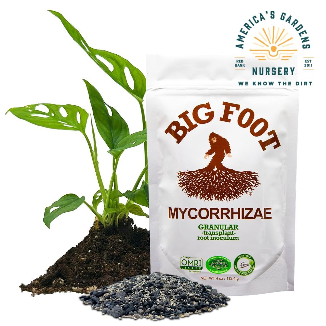 Big Foot Granular Mycorrhizae Granules - America's Gardens Nursery