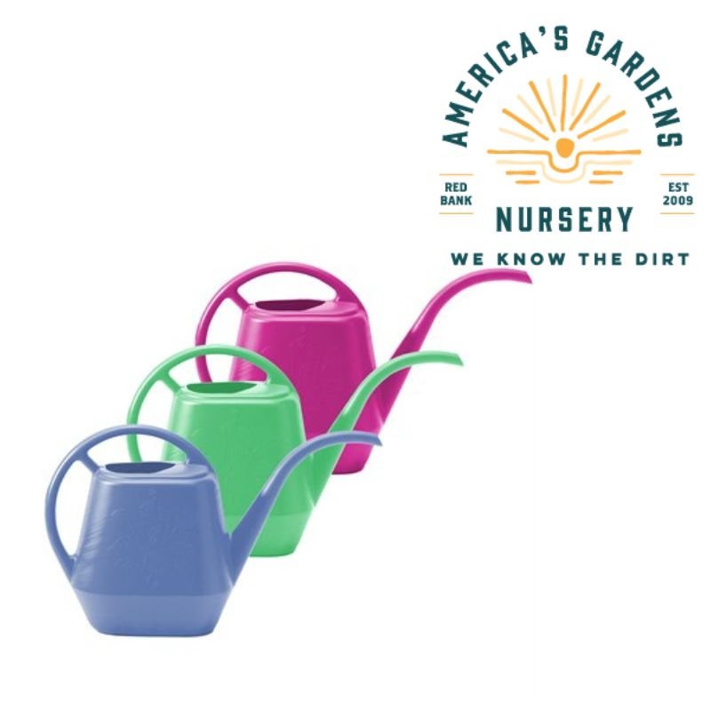 Bloem Aquarite Watering Can - America's Gardens Nursery