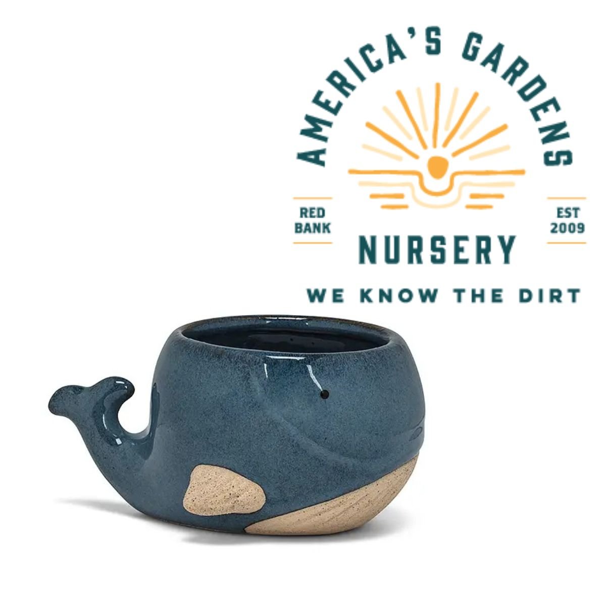 Blue Whale Planter - America's Gardens Nursery