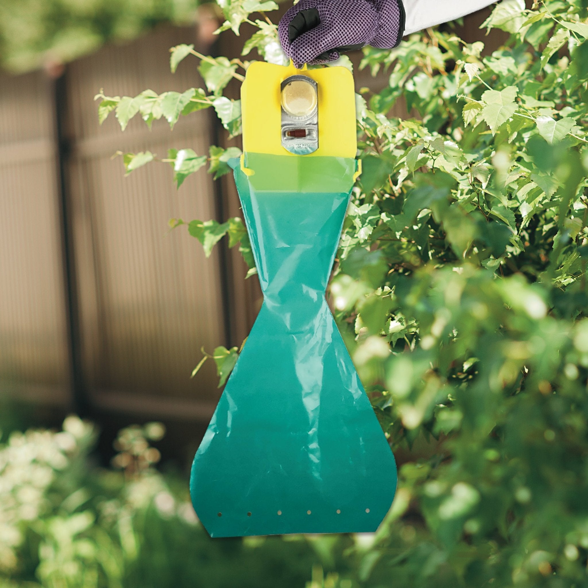 Bonide Japanese Beetle Trap - America's Gardens Nursery