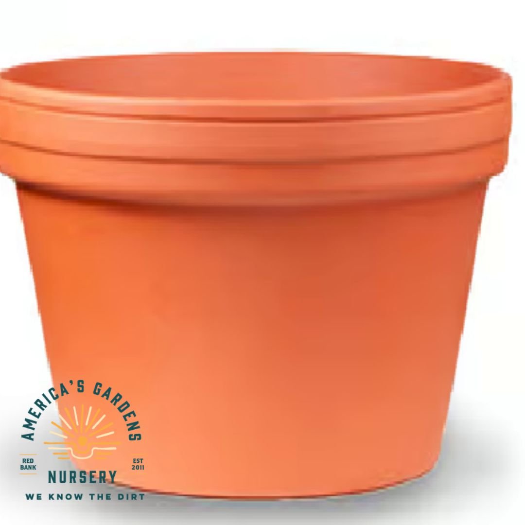 Bonsai Red Clay Terra Cotta Cactus Pot - America's Gardens Nursery