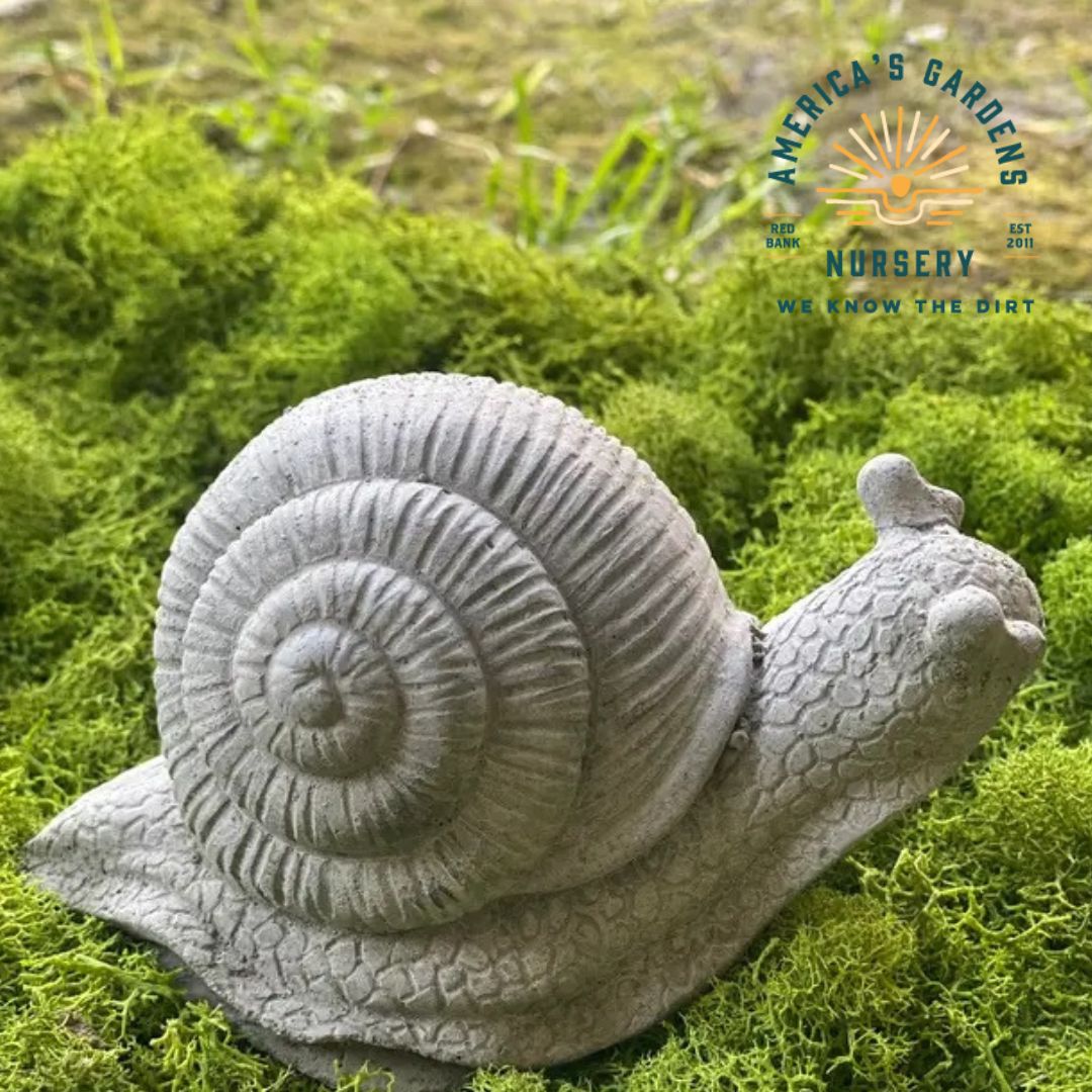 Concrete Snail Statue - America's Gardens Nursery