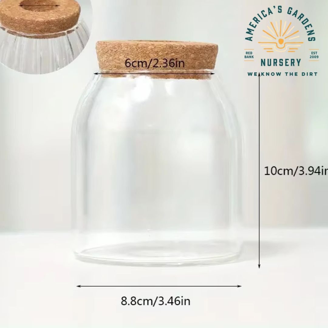 Cork Bottle Hydroponic Vase - America's Gardens Nursery