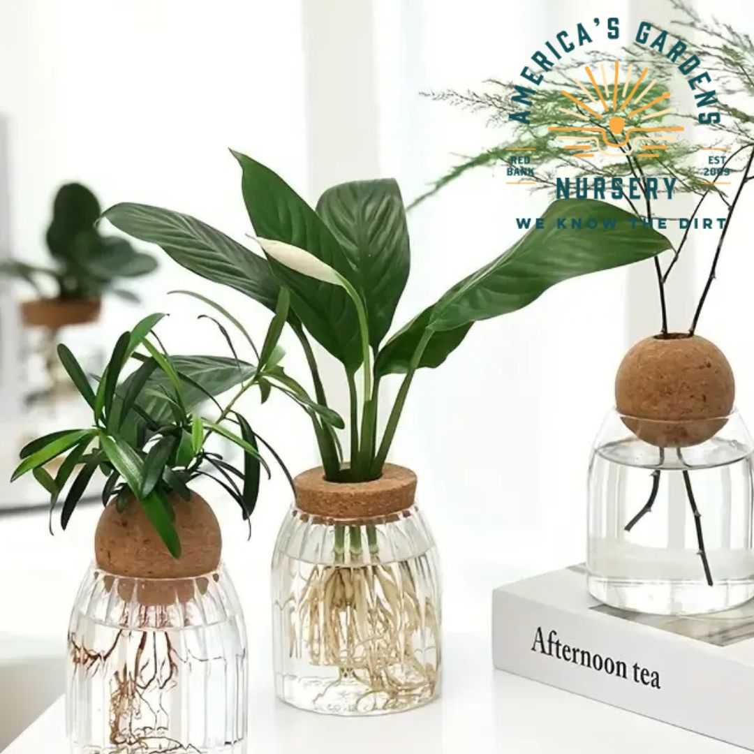 Cork Bottle Hydroponic Vase - America's Gardens Nursery
