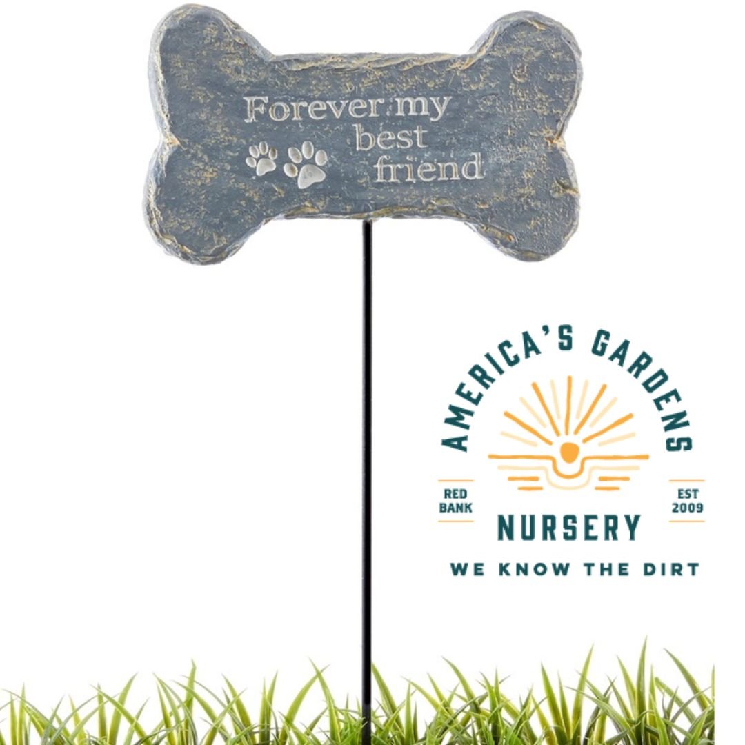 Forever My Best Friend Dog Bone Memory Plaque - America's Gardens Nursery