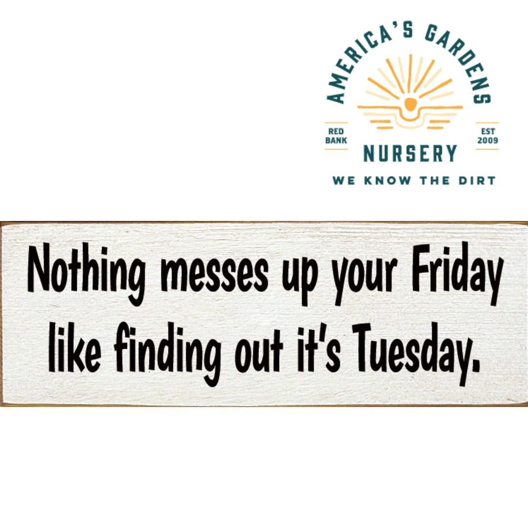 Funny Wooden Signs - America's Gardens Nursery