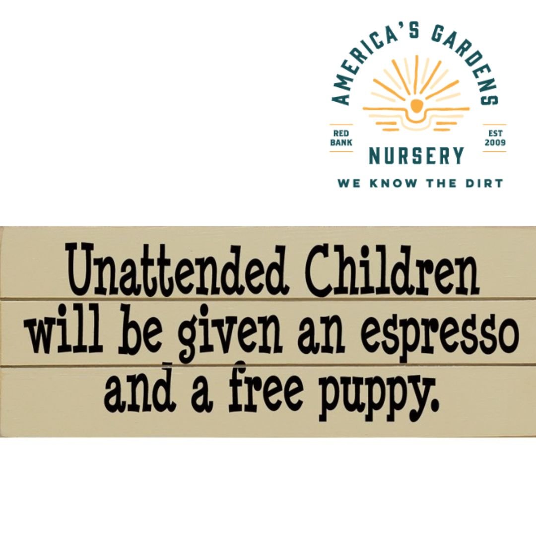 Funny Wooden Signs - America's Gardens Nursery