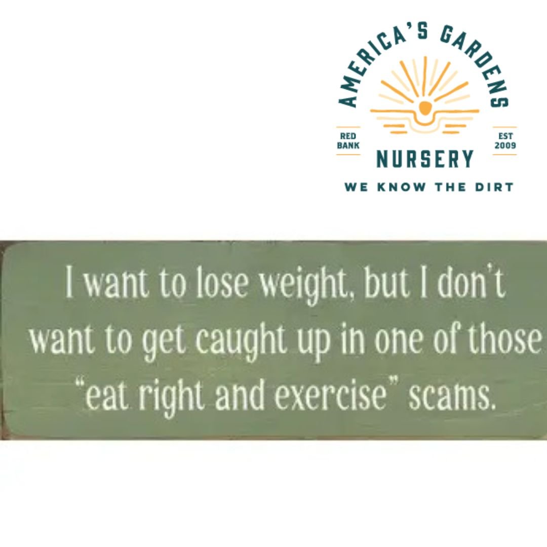 Funny Wooden Signs - America's Gardens Nursery