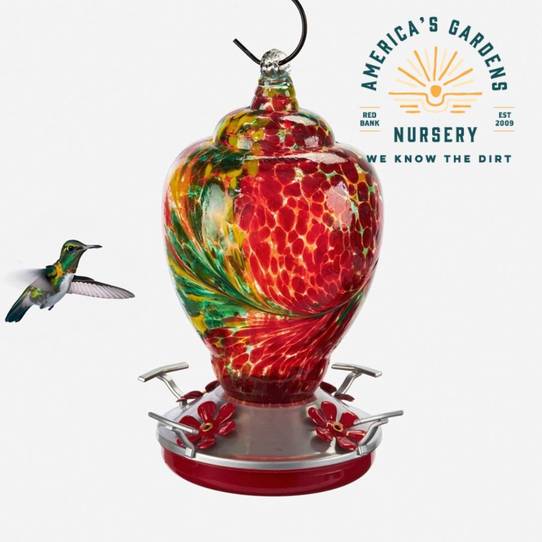 Glass Red & Yellow Hummingbird Feeder - America's Gardens Nursery