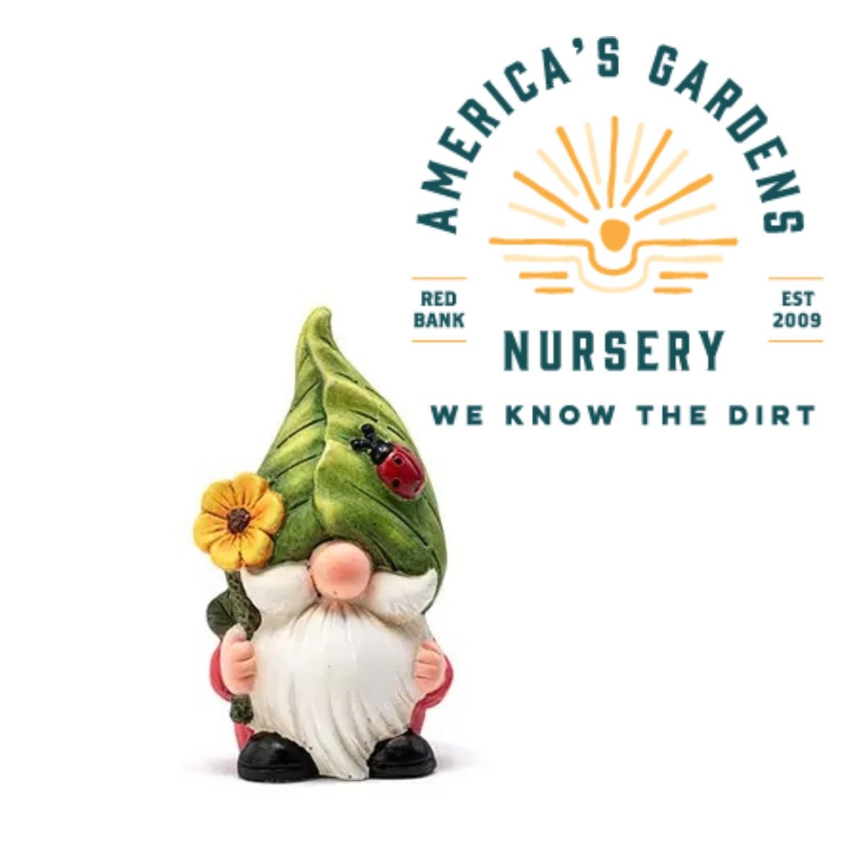 Gnome With Ladybug - America's Gardens Nursery