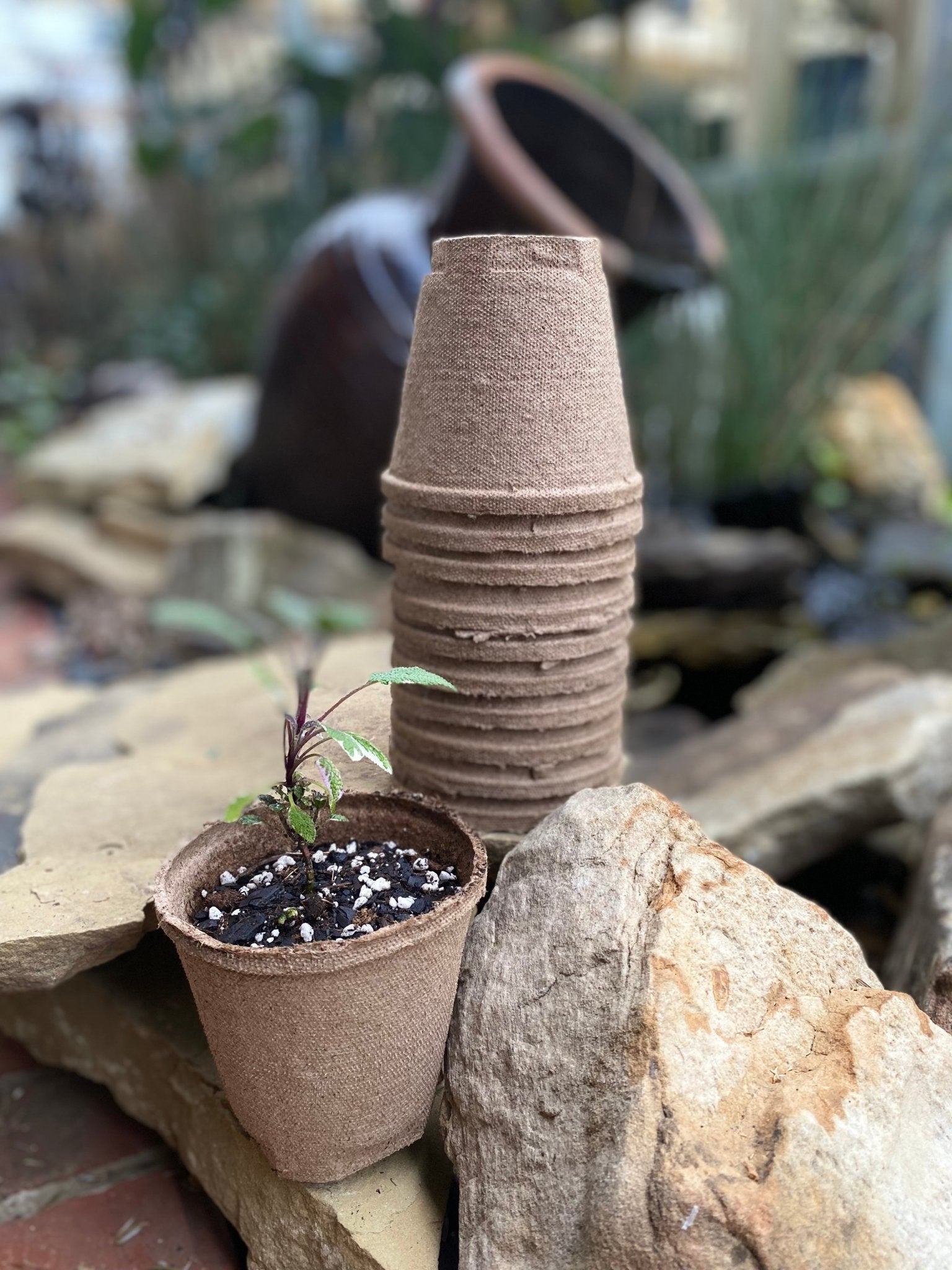 Jiffy Seed Starting Pots/Pellets - America's Gardens Nursery