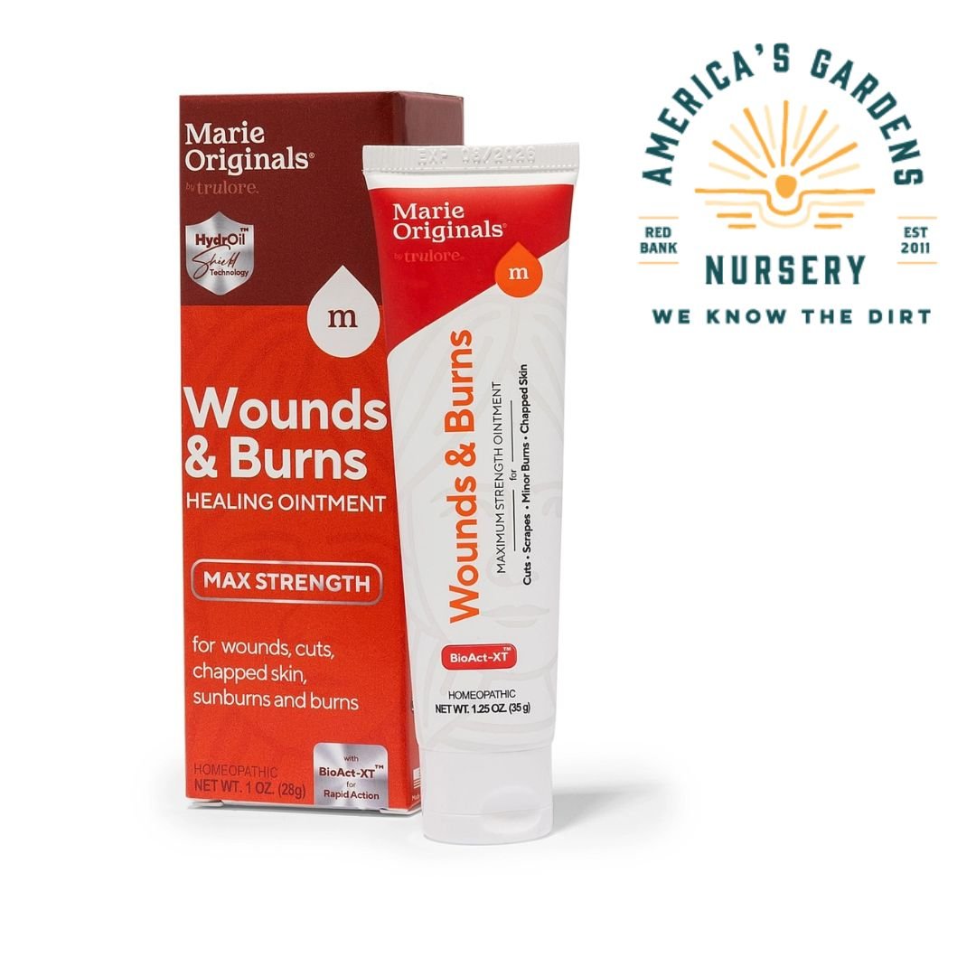 Marie's Wounds & Burns Ointment - America's Gardens Nursery
