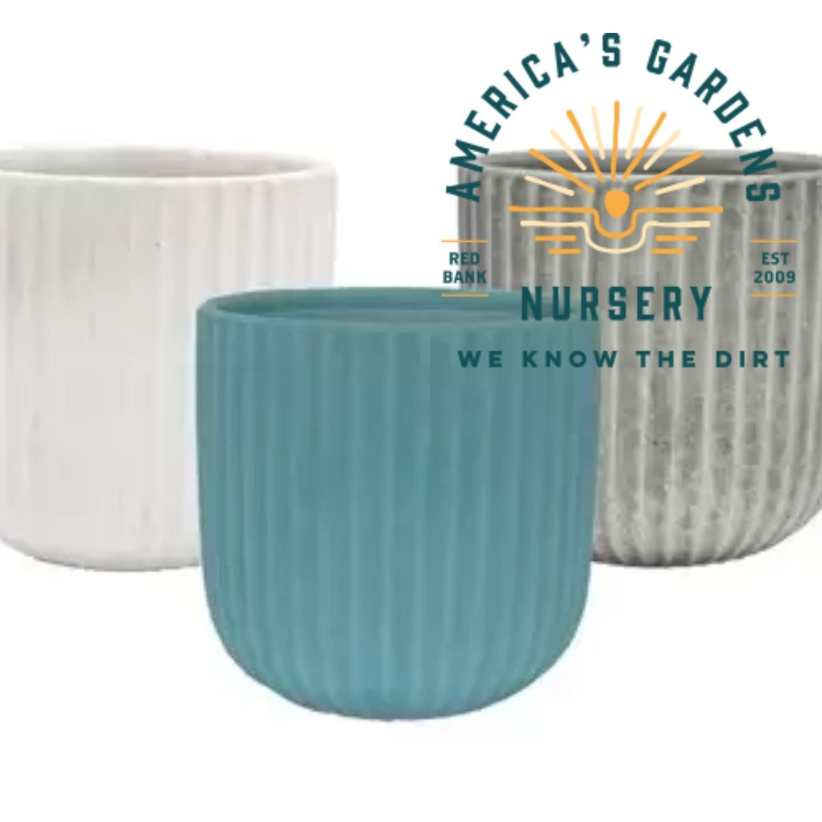 Michael Carr Scraped Planters - America's Gardens Nursery