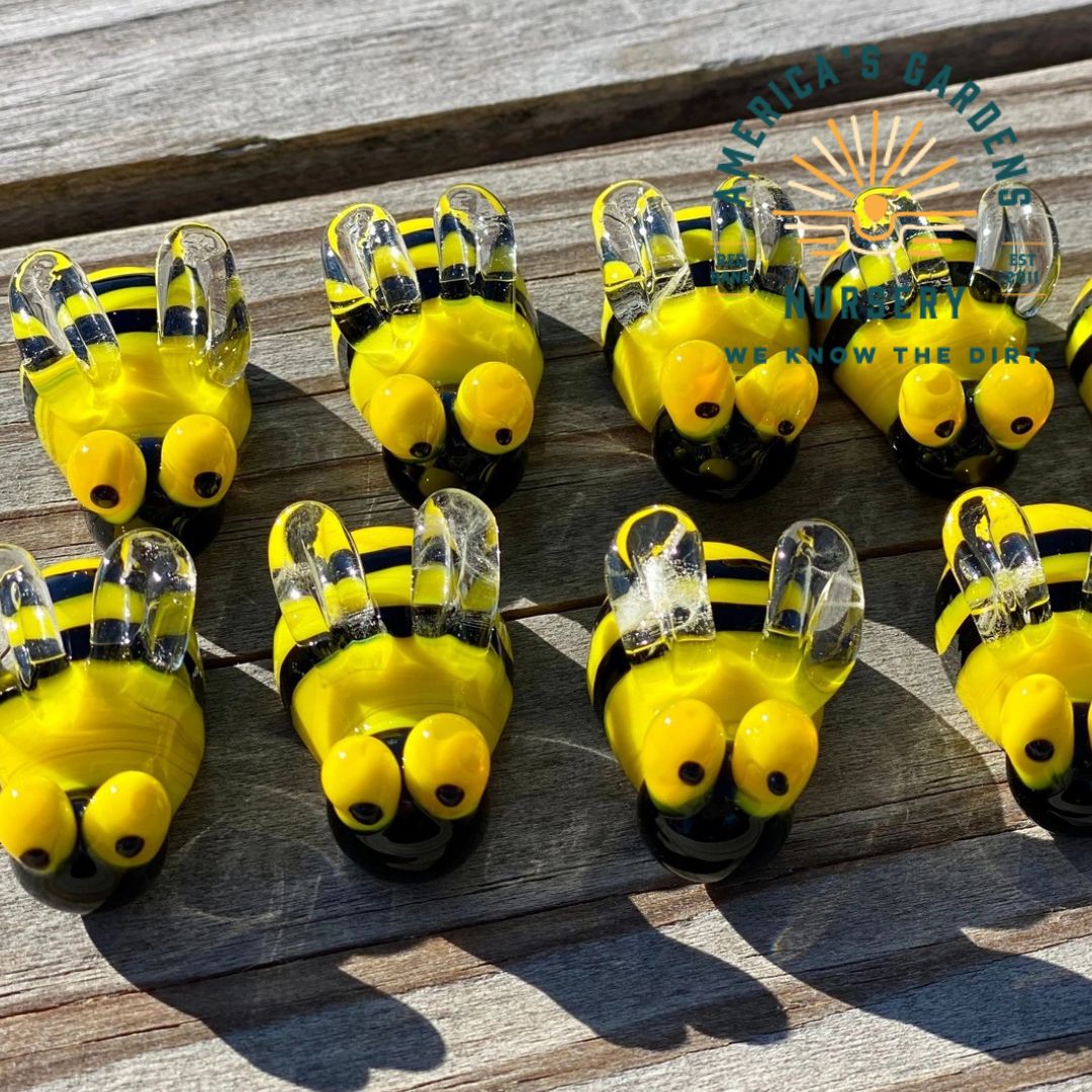 Miniature Glass Bee - America's Gardens Nursery