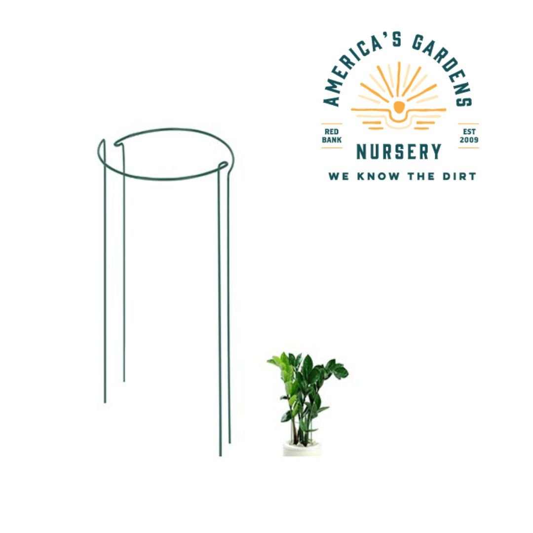 Plant Supports - America's Gardens Nursery
