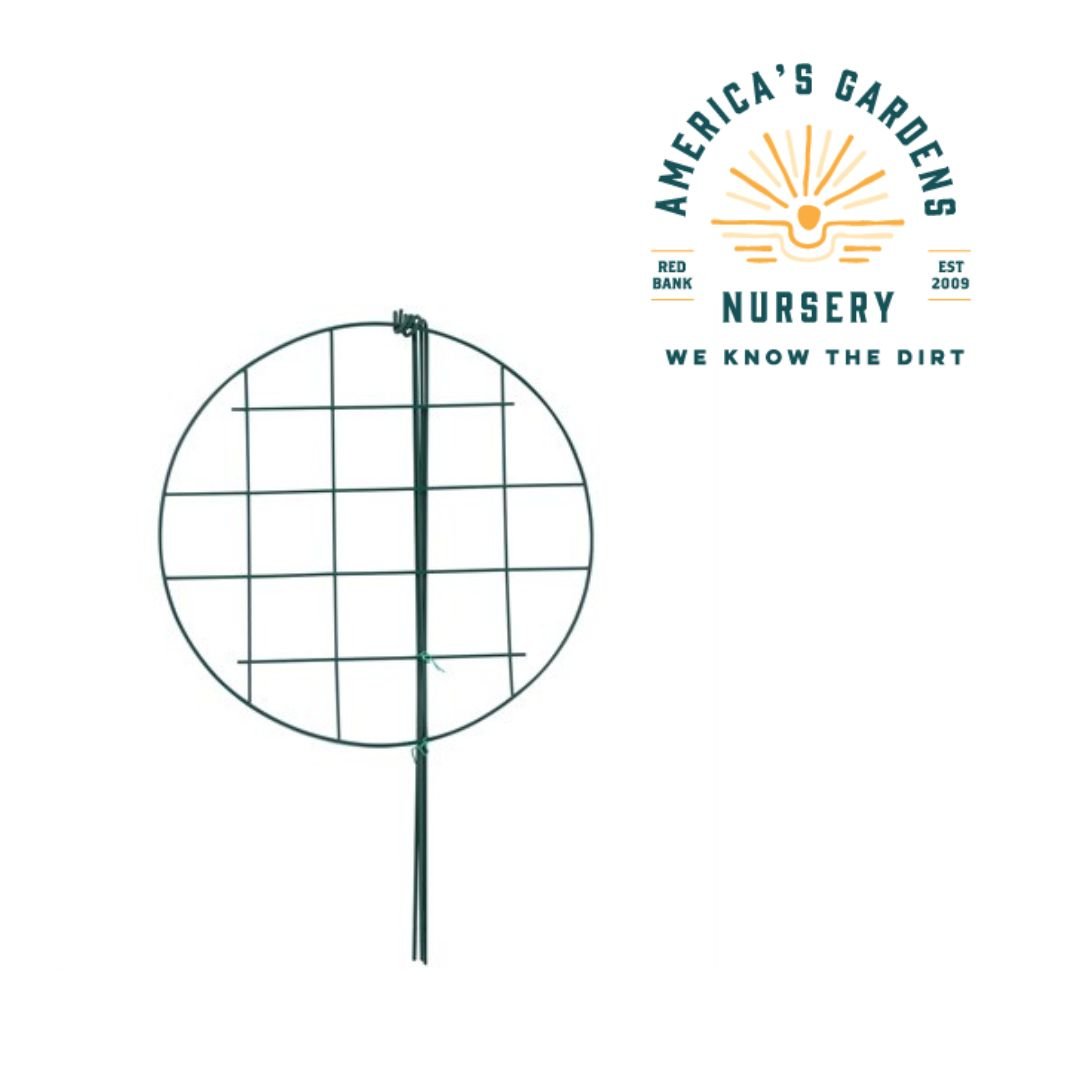 Plant Supports - America's Gardens Nursery