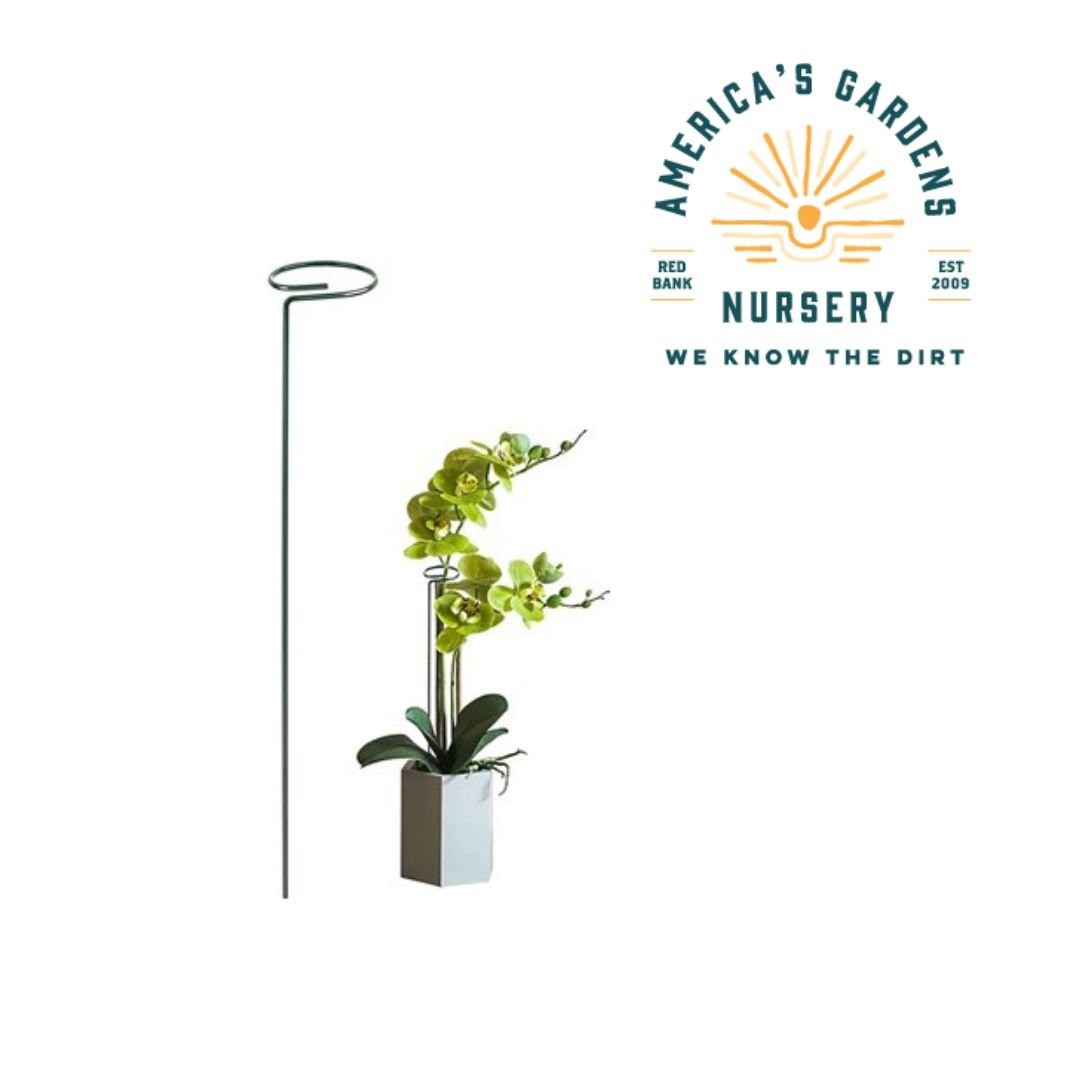 Plant Supports - America's Gardens Nursery