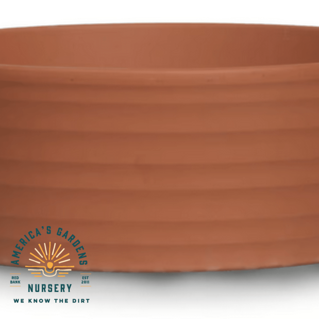 Red Clay Terra Cotta Sirius Cactus Bowl - America's Gardens Nursery