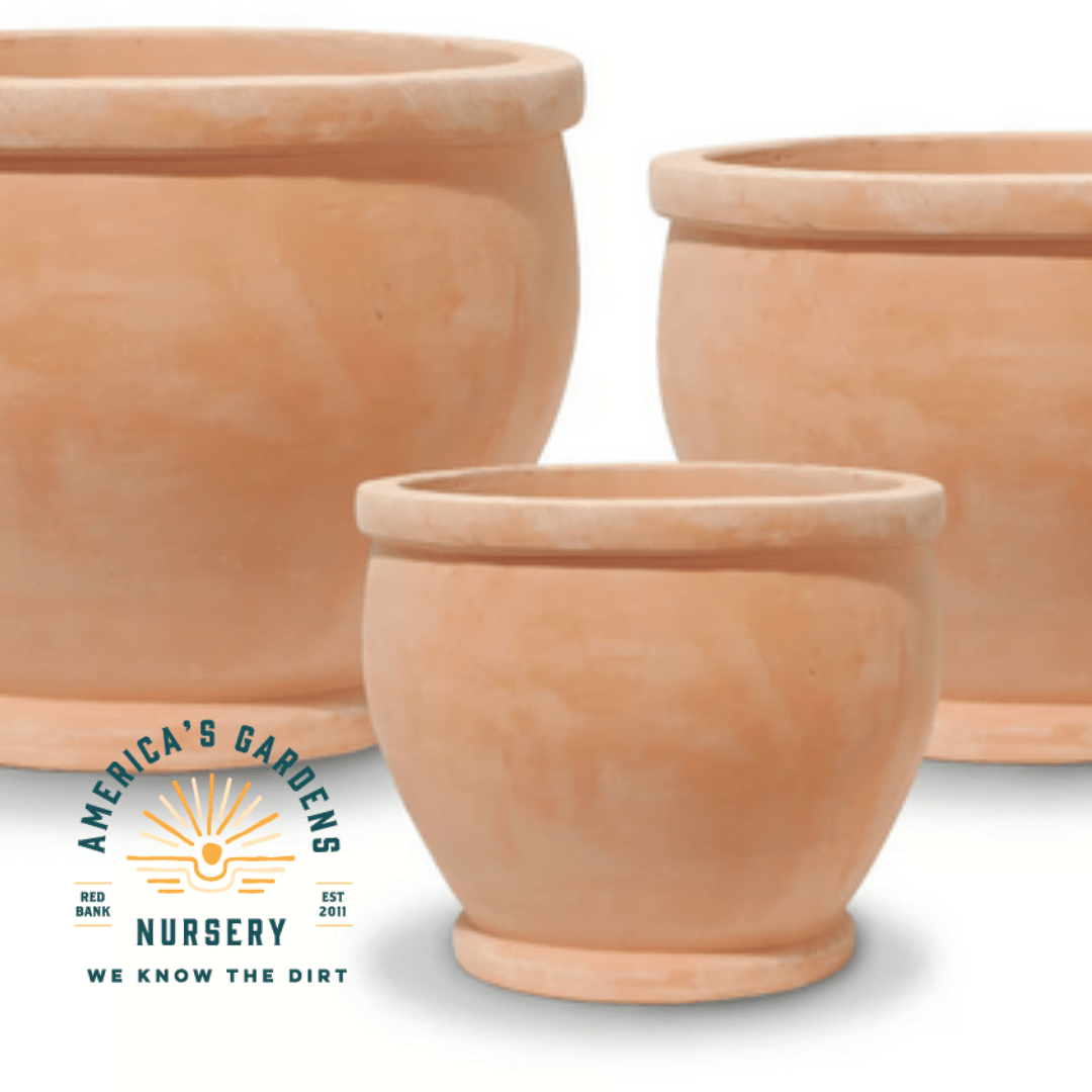Simple Terra Cotta Fishbowl Pot - America's Gardens Nursery