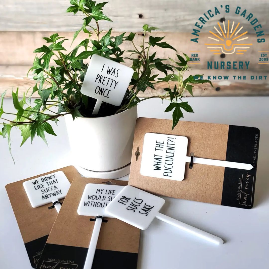 Snarky Plant Marker - America's Gardens Nursery