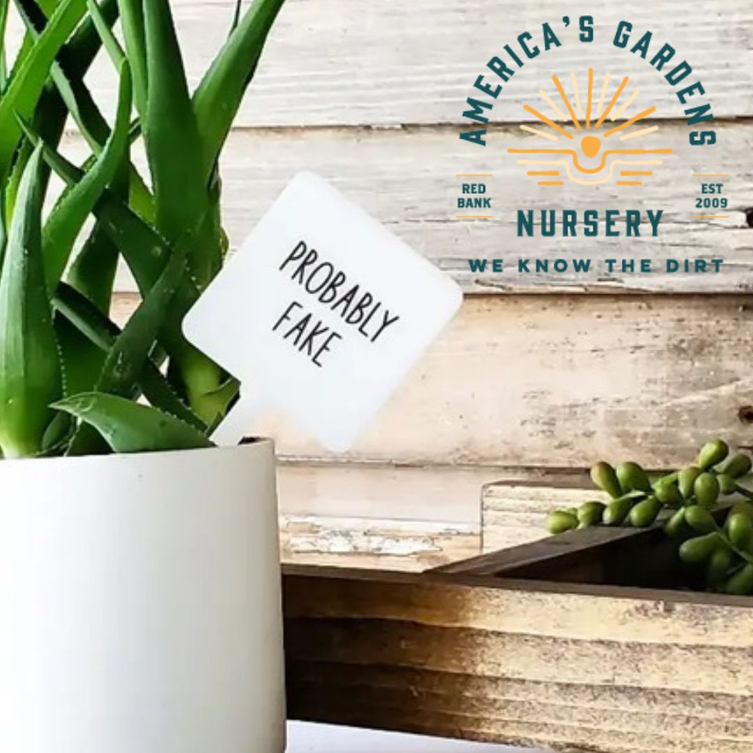 Snarky Plant Marker - America's Gardens Nursery