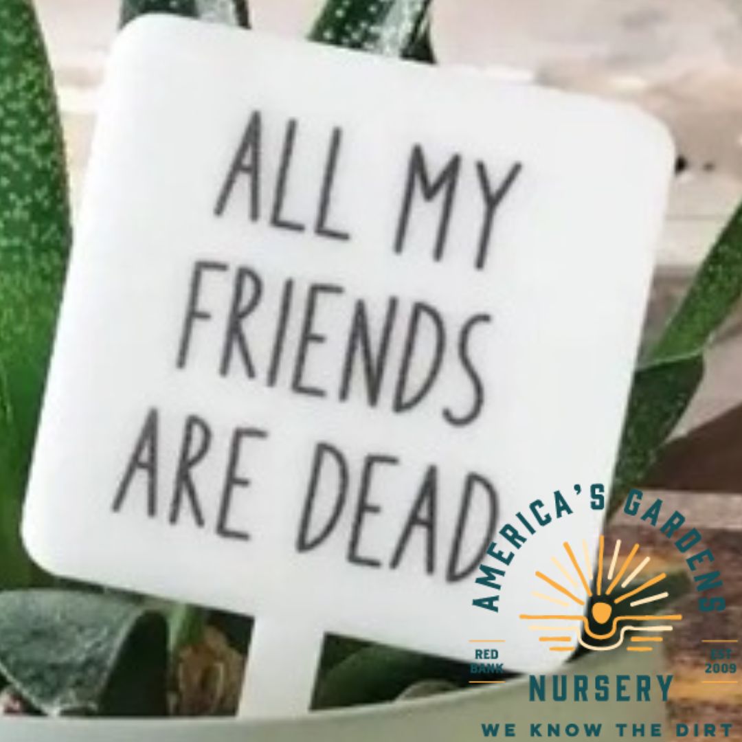 Snarky Plant Marker - America's Gardens Nursery