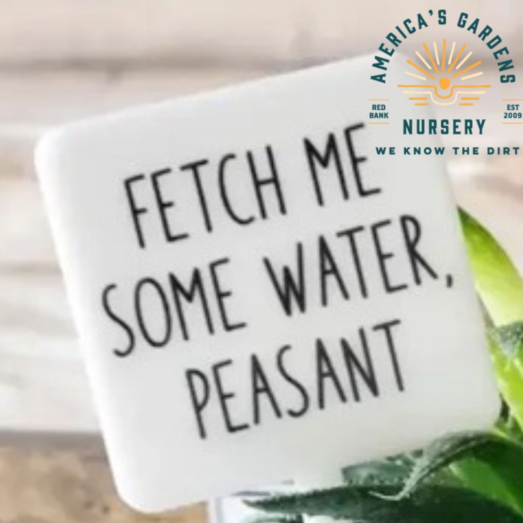 Snarky Plant Marker - America's Gardens Nursery