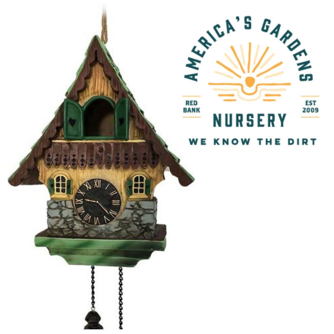 Spoontiques Birdhouses - America's Gardens Nursery