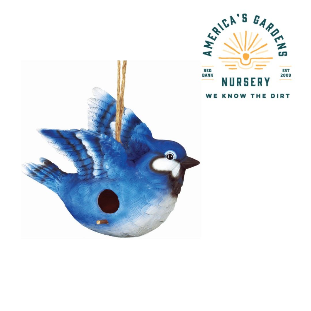 Spoontiques Birdhouses - America's Gardens Nursery