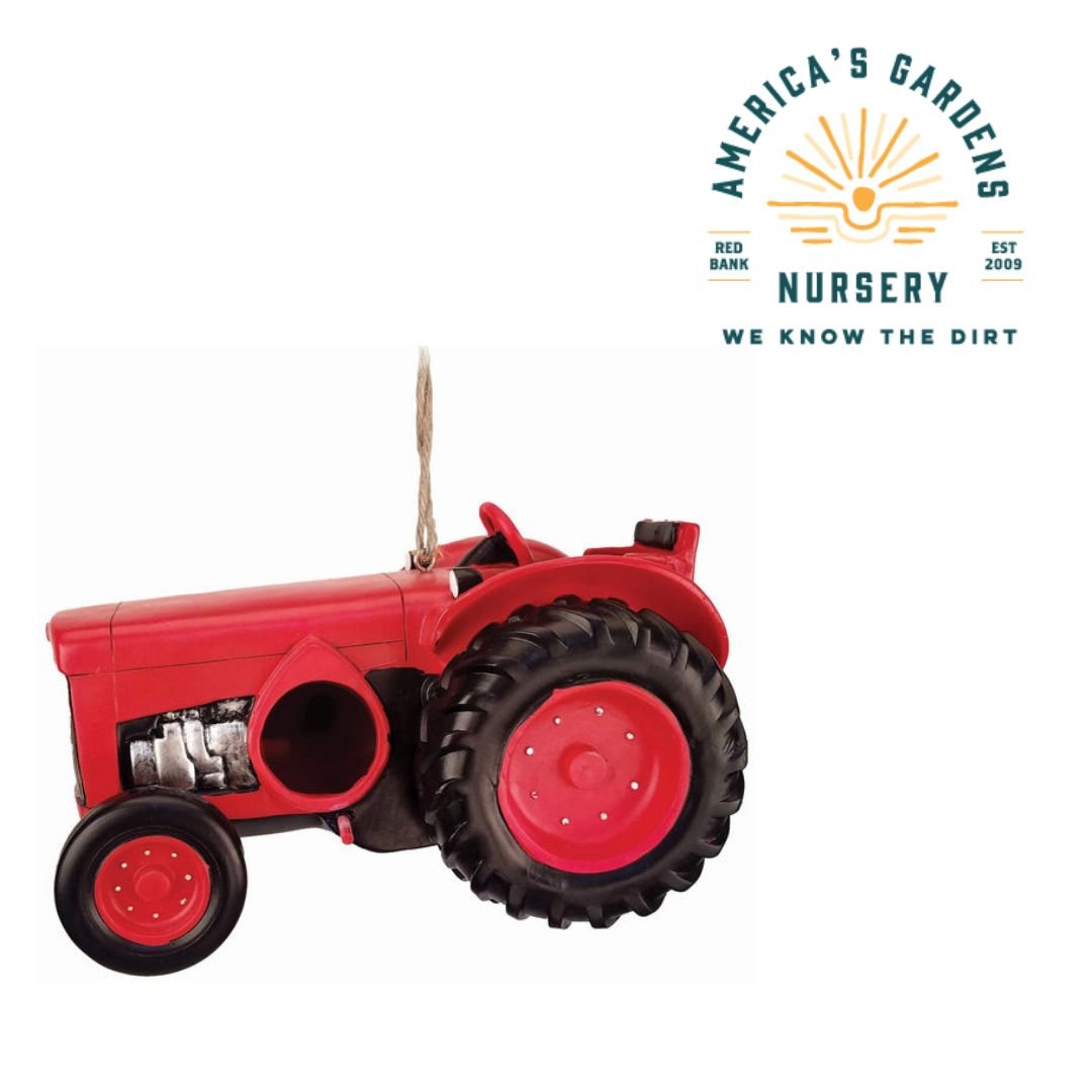 Spoontiques Birdhouses - America's Gardens Nursery