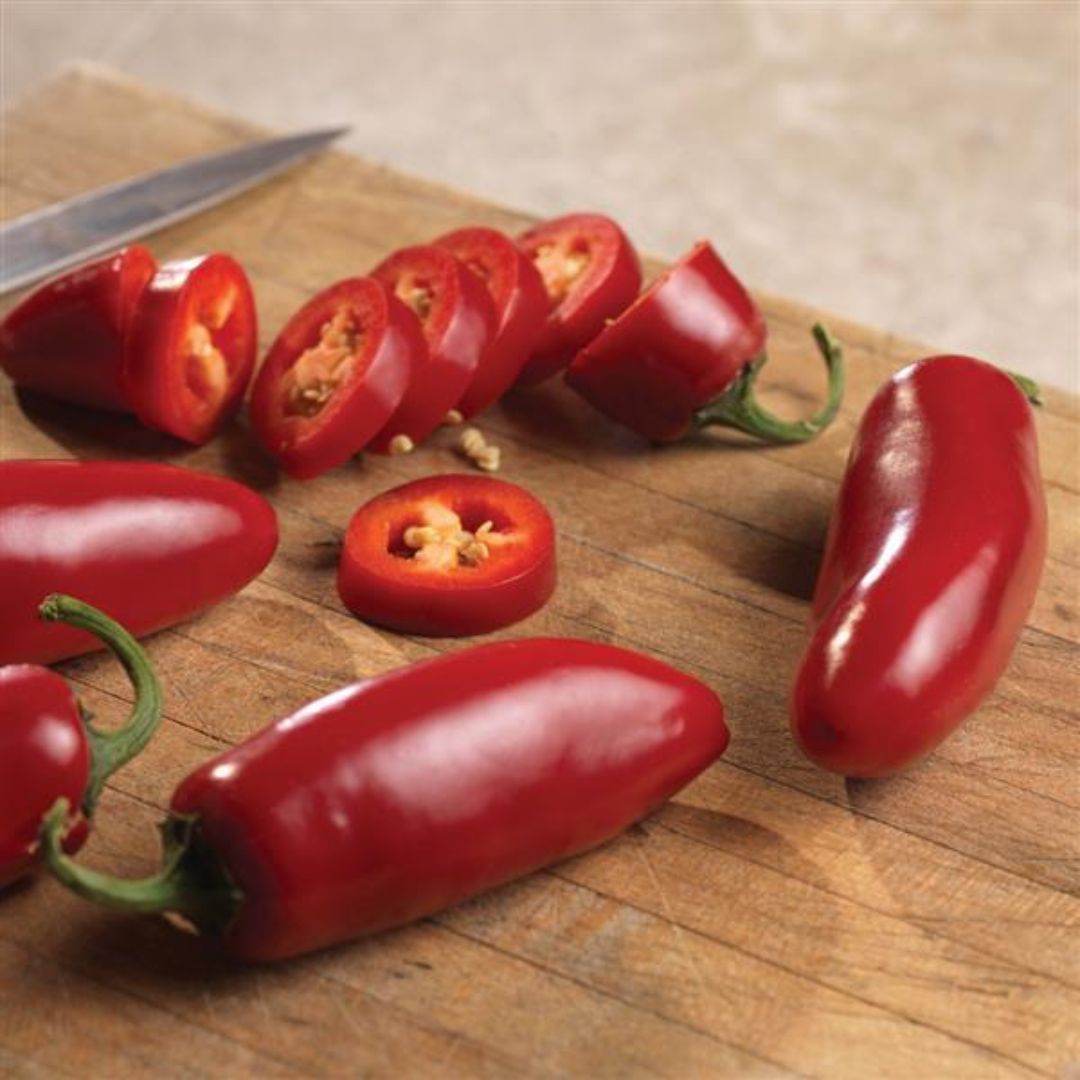 Sriracha Pepper Plants - America's Gardens Nursery